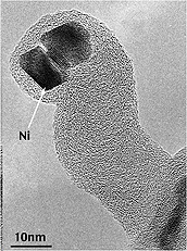 Carbon filament with encapsulated Ni catalyst.