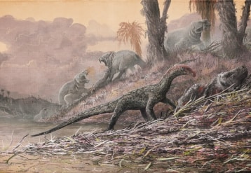 Dinosaur discovery list image