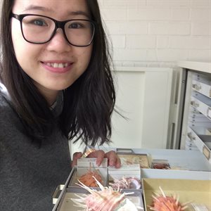 300 (film) visual data 6