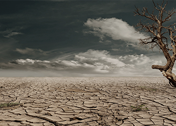 A barren wasteland symbolising climate change