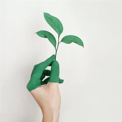 A hand half-painted green holds a green plant shoot