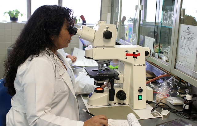A doctor looks through a microscope