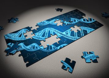 DNA strands printed on a jigsaw