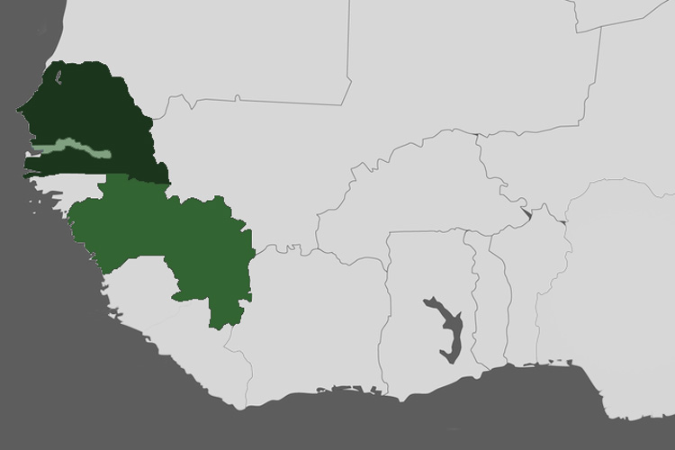 Map of West Africa highlighting The Gambia, Senegal and Guinea