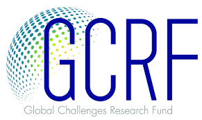 Global Challenges fund