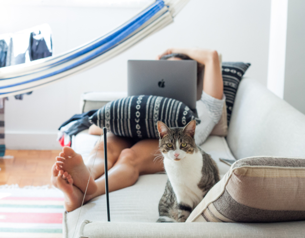 Student working with cat L