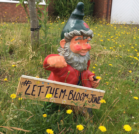 Gnome holding sign saying 'Let them bloom in June'