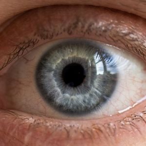 close up of a blue eye