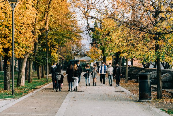 Students walking along a pathway lined with autumnal trees