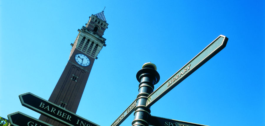 Signpost on campus with Old Joe Clock tower in background