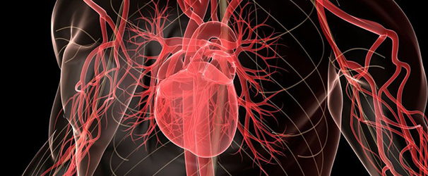 Atrial Fibrillation 606x250px