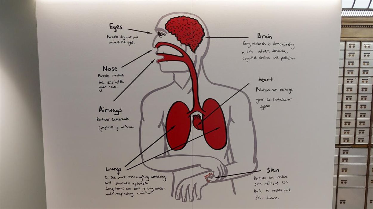 Outline of human body showing how pollutants impact different organs. Full description under the header impact on the body