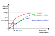 Biology Enzyme Reaction Rates University Of Birmingham