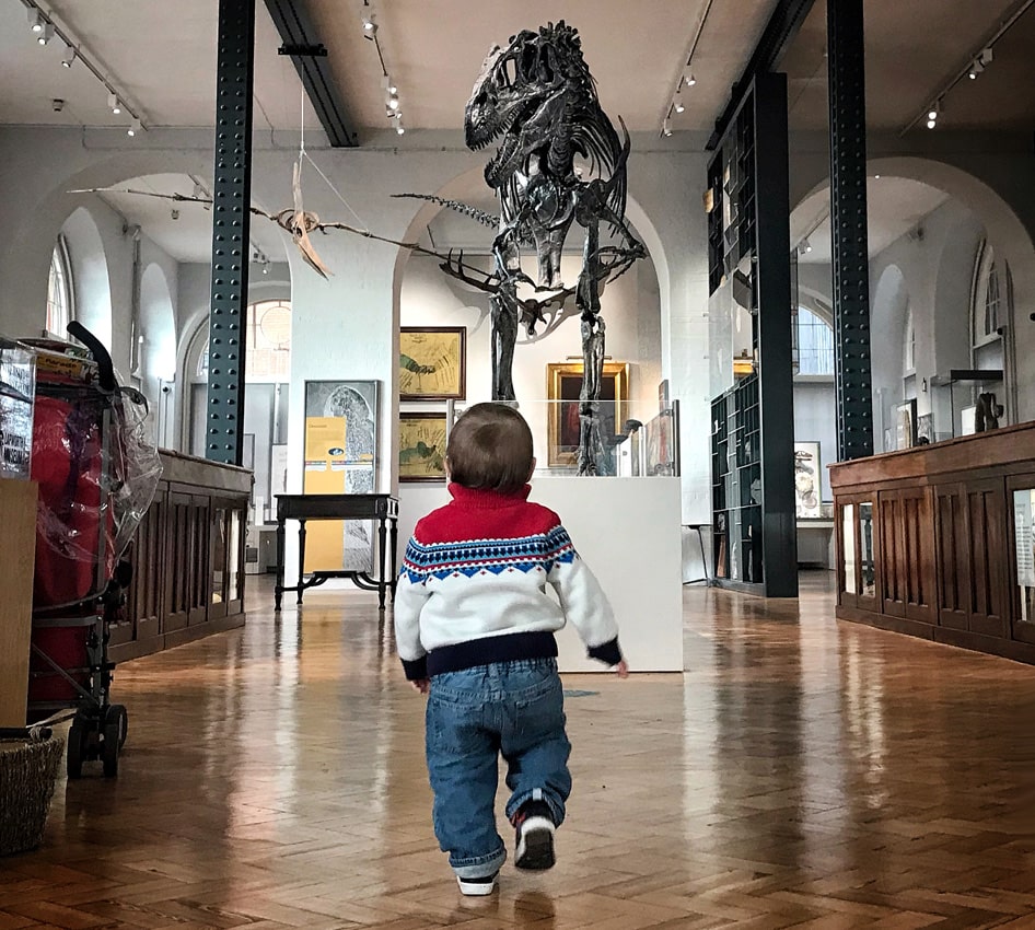 A toddler walking into the Lapworth Museum with the Allosaurus skeleton towering in the distance