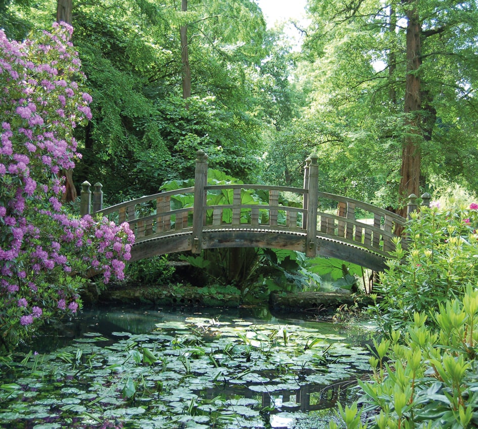 The Japanese Bridge at WInterbourne House and Garden stretching over water covered in lily pads