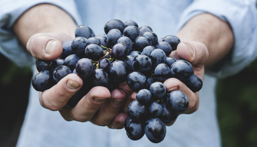 grapes