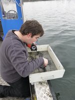 Experiments with lake sediment respiration using "smart " tracer resazurin