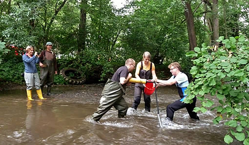 Sampling invertebrates using a new push-pull technique