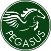 PEGASUS-Logo 100 pixels wide