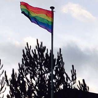 A pride flag flying over a tree line