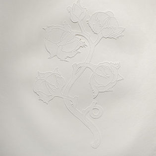 Gossypium Hirsutum, cotton plant, punched drawing on khadi paper