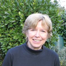 Professor Dame Karin Barber