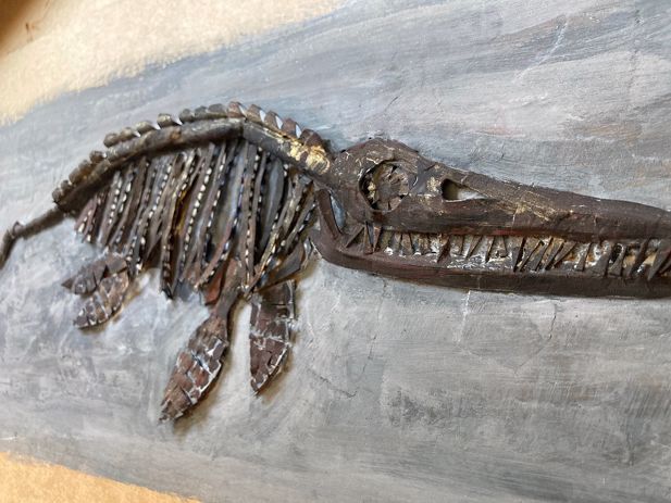 Ichthyosaur 2