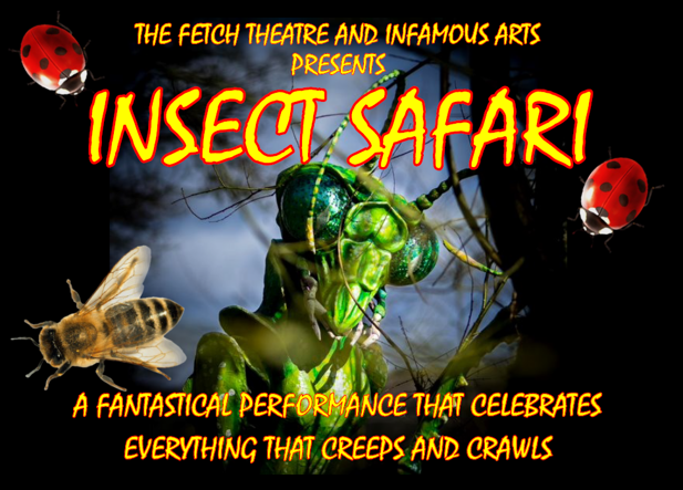Insect Safari 1