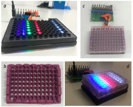 A custom made, fully characterised and calibrated  LED array to identify optimal dosing parameters (wavelength: 400-850nm; irradiance 6-24mW/cm2) for high-throughput in vitro phototherapy research. (a) LEDs housed in 96-well plate, (b) a silicon mask to prevent light ‘bleed’, (c) LED array with 96-well plate containing cell culture and (d) irradiation of cell cultures.