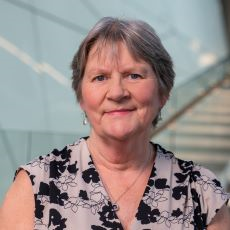 Professor Julie Allan