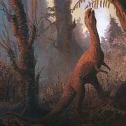 Nibbling prehistoric herbivore sheds new light on Triassic diversity