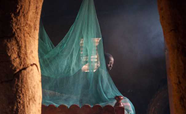 A malaria net over a bed