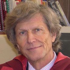 Professor Brian W Darvell