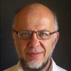 Professor Igor Lerner