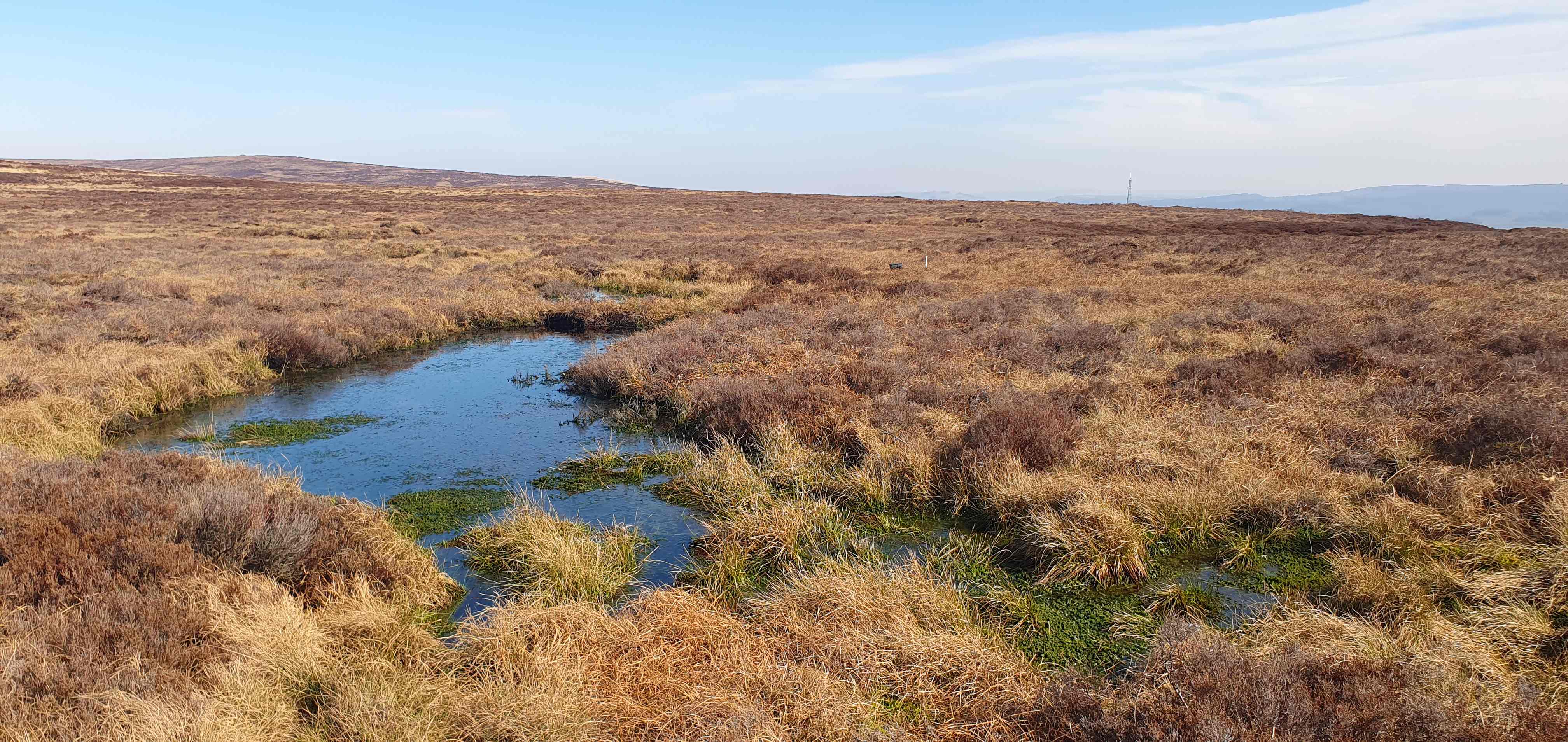 A peatland landscape with a clear blue sky above it.