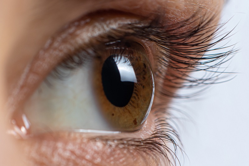 Close up of an eye, showing the cornea 