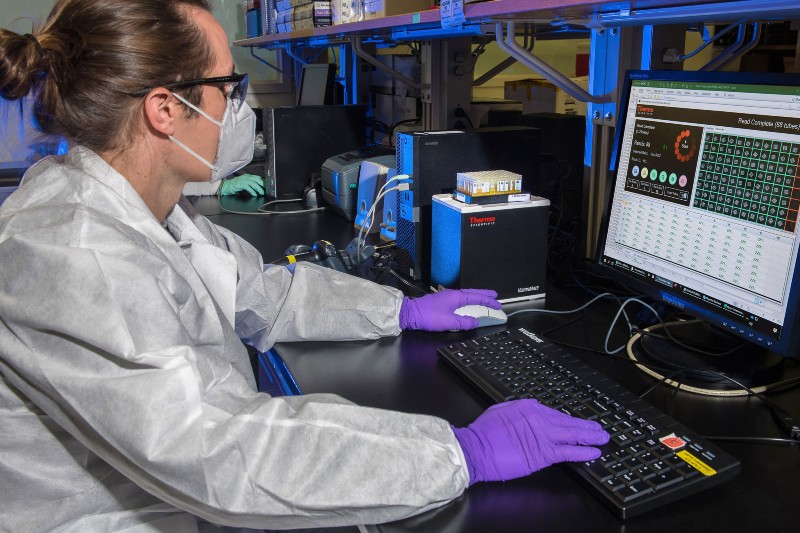 Female doctor looking at a computer screen