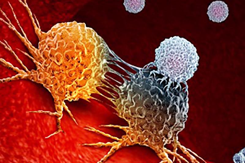 Image of cancer cells