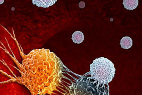 Image of cancer cells