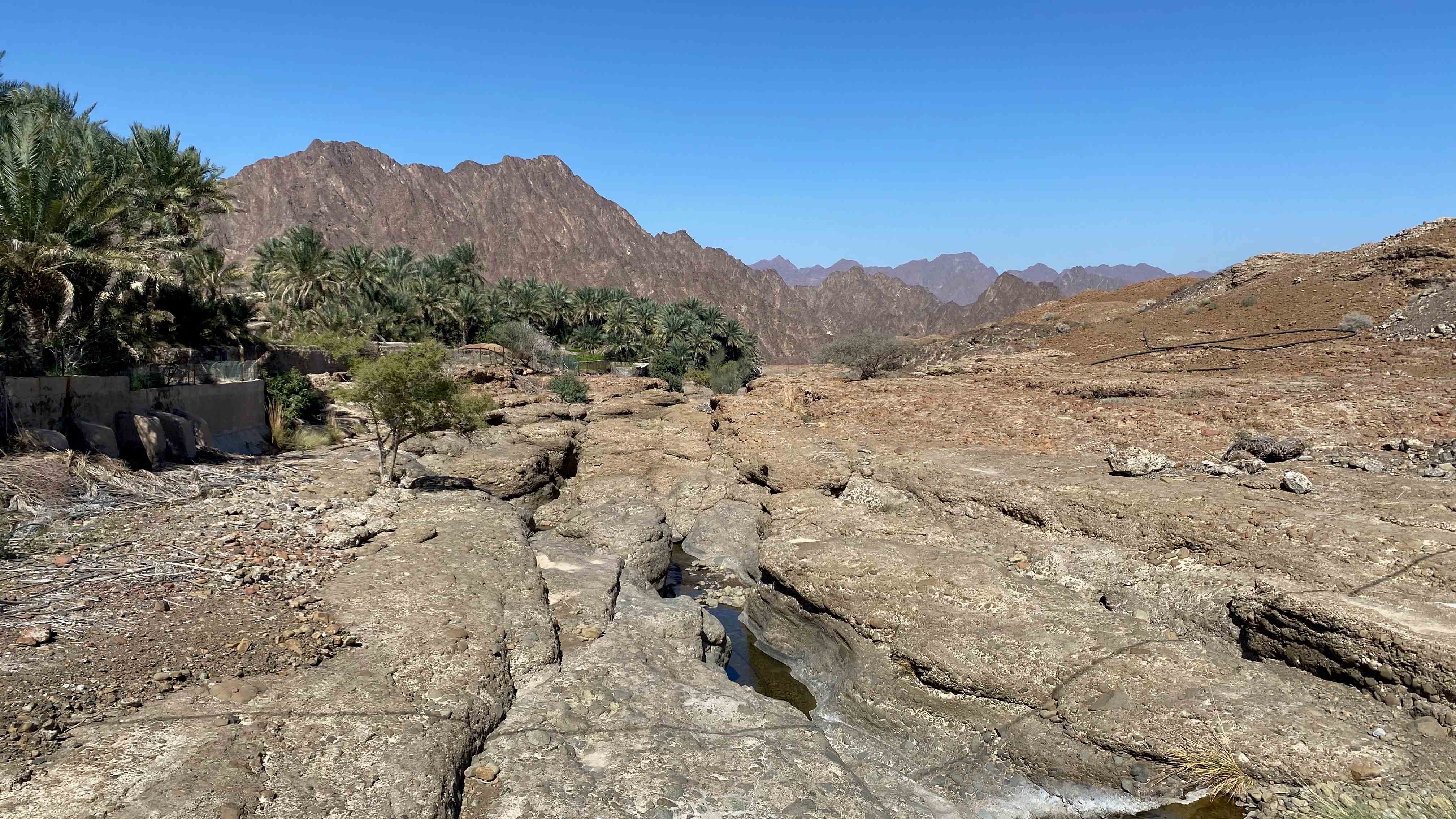 A mountainous, arid landscape with blue skies above and palm tree vegetation in the middle ground.