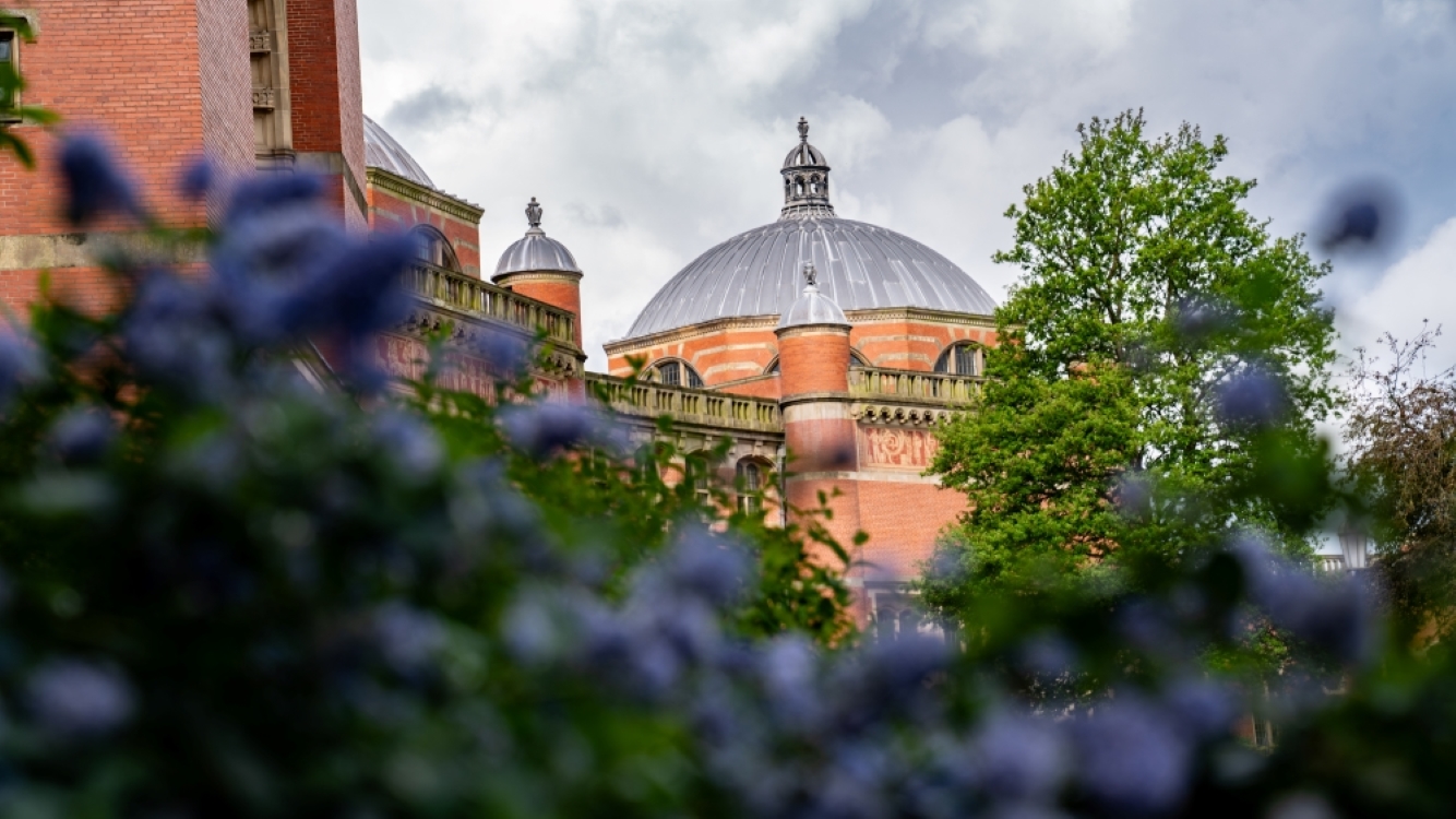 The dome of the Aston Webb building visible behind a bush of purple flowers.