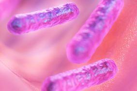 Computer generated illustration of three microscopic bacteria, coloured in pinks and purples against a blurry pink background