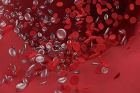 Illustration of red blood cells against a red background