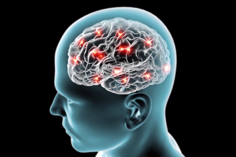 Digital image of brain inside a head