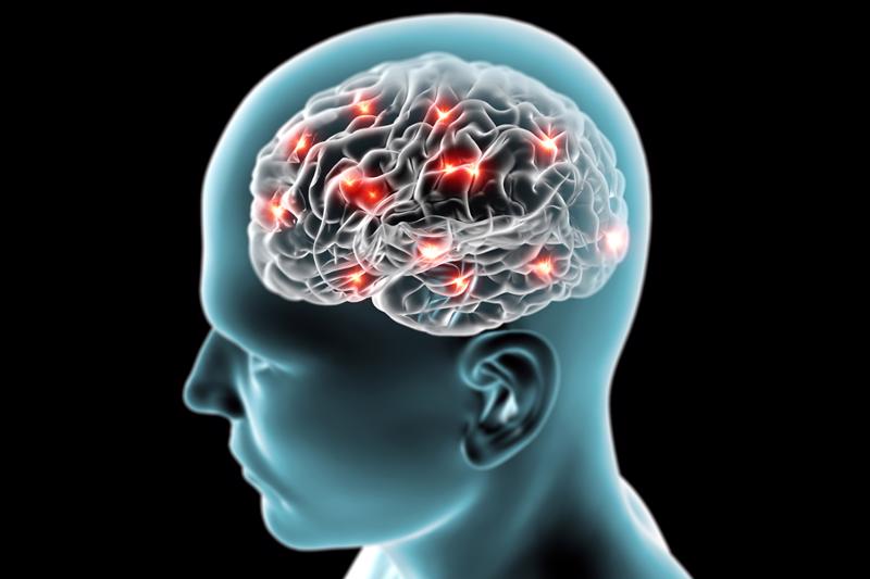 Human head showing brain inside