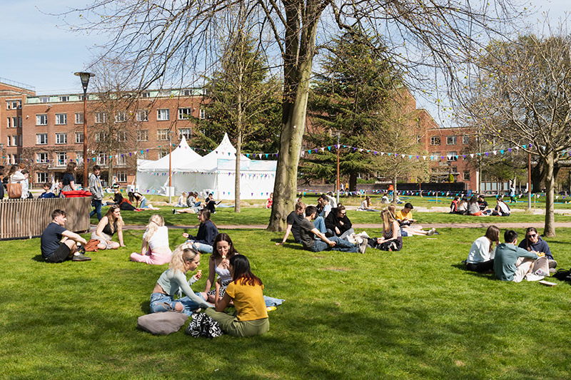 Groups of students sit on grass in Spring sunshine