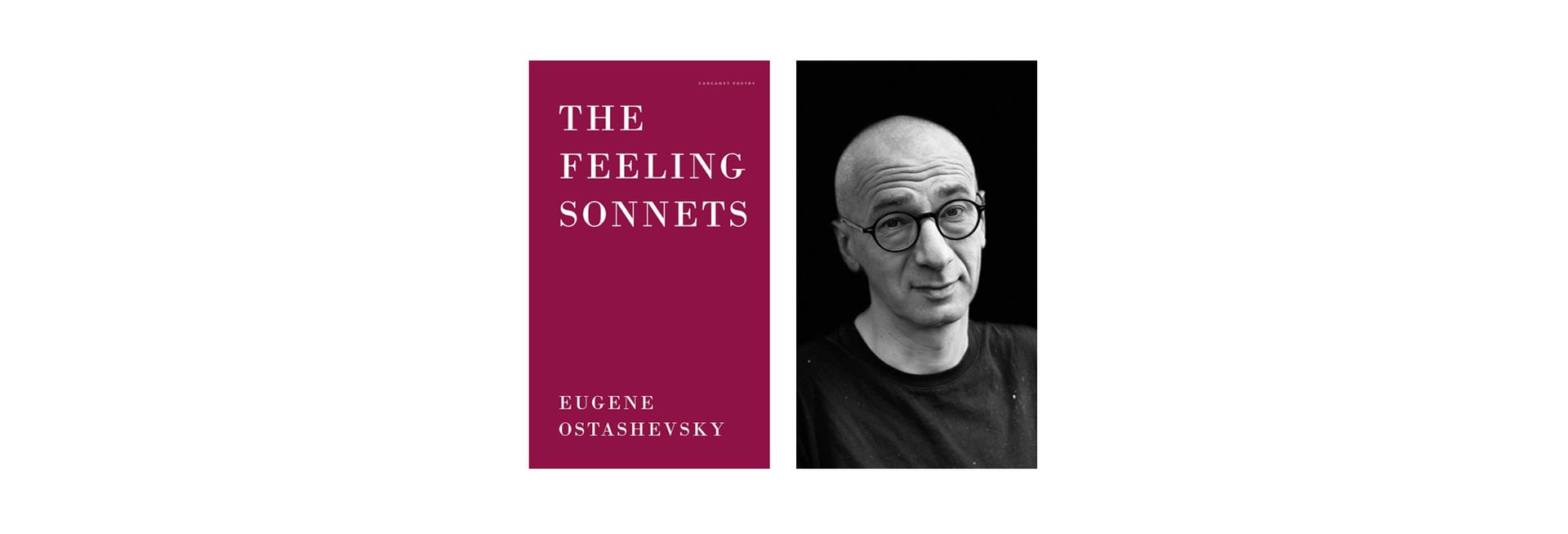 The Feeling Sonnets by Eugene Ostashevsky