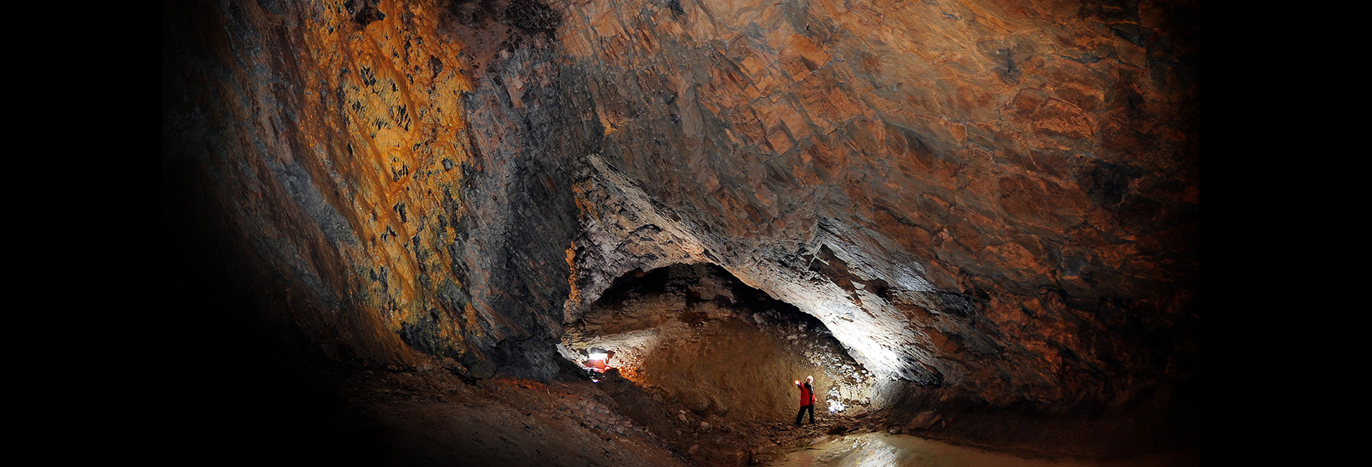 Image credit: Phil Riley, Wren's Nest National Nature Reserve