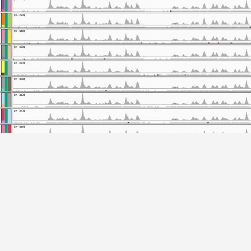 Several tracks of genomic data showing signal patterns across multiple cancer samples.