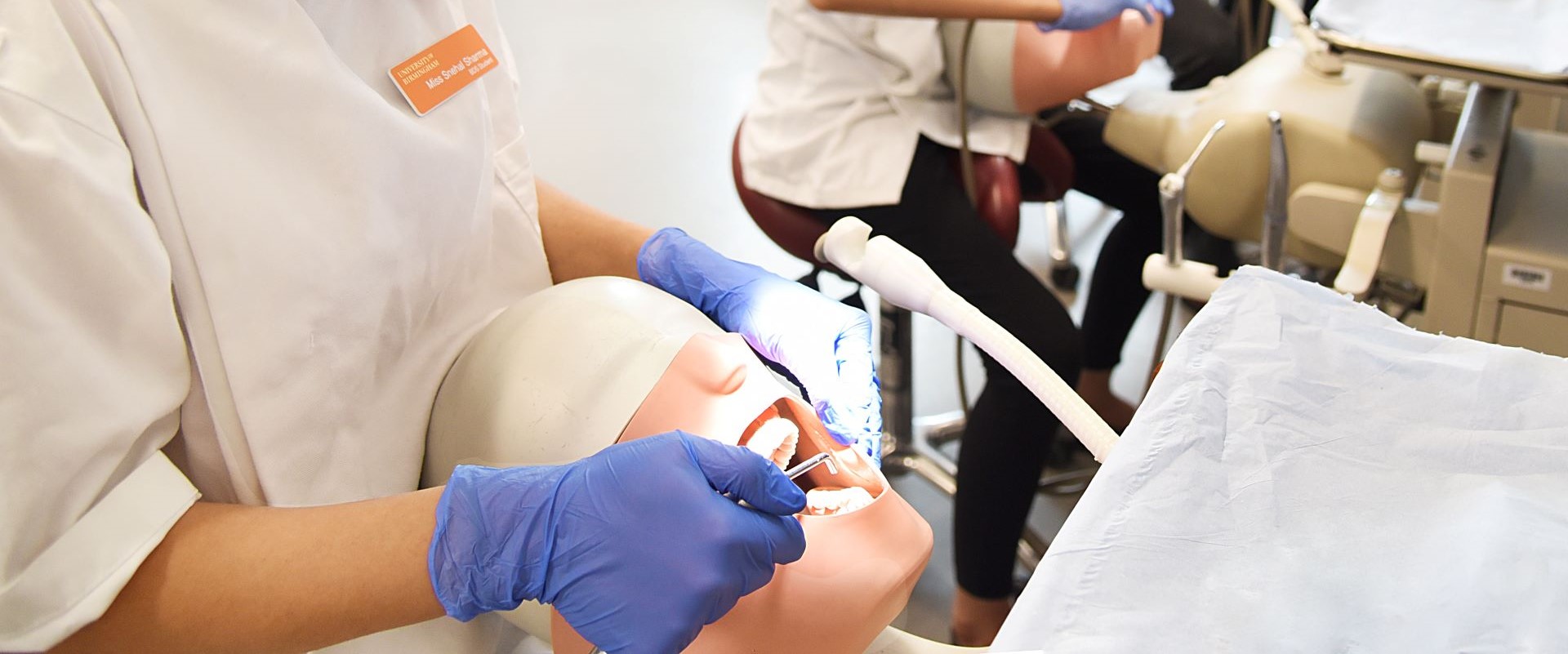 Dentistry phantom head equipment